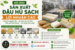Cách tìm nguồn nguyên liệu sản xuất đậu hũ chất lượng