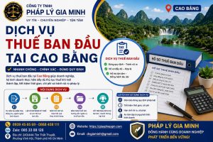 Dịch vụ thuế ban đầu tại Cao Bằng